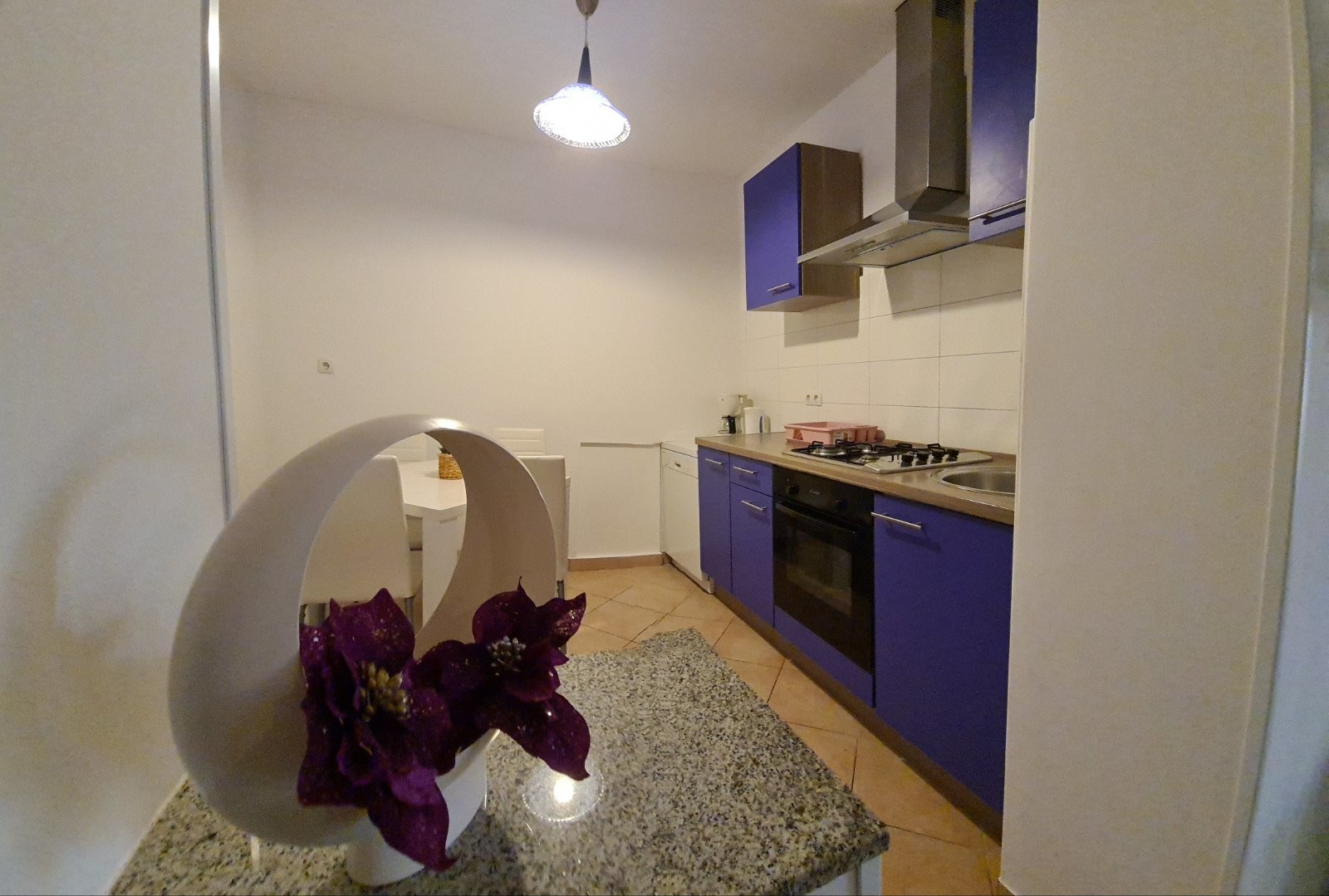 APPARTAMENTO Pavle